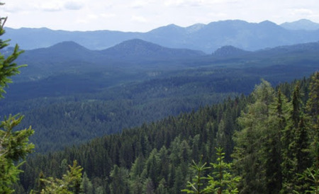 Posnetek zaslona 2025-07-24 103050